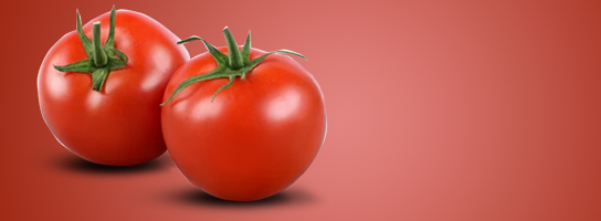 tomato